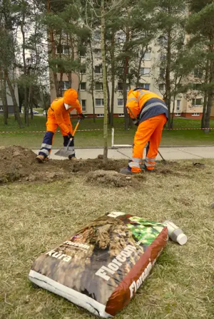 Začala sa výsadba Na barine