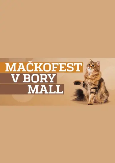 Mačkofest v Bory Mall (22.10.)