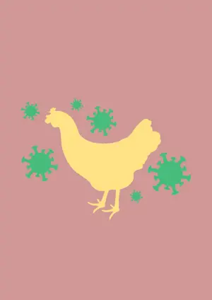 Vtáčia chrípka - nariadenie opatrení a postupov