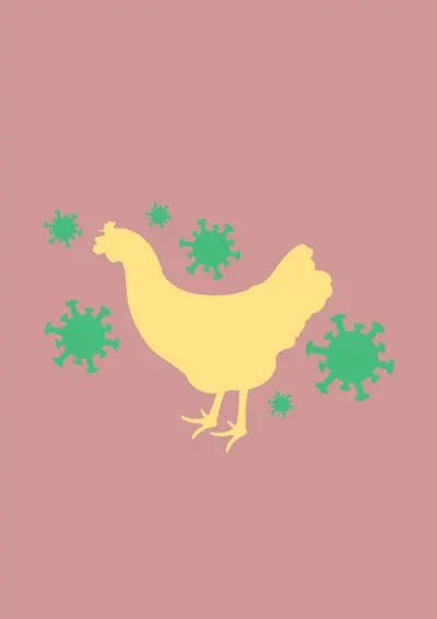 Vtáčia chrípka - nariadenie opatrení a postupov