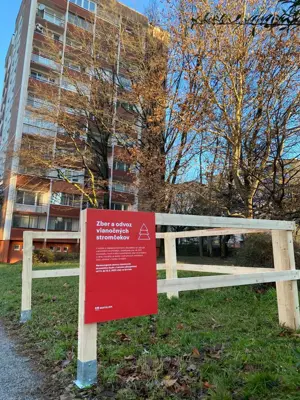 Prevádzka zberného miesta a zber vianočných stromčekov