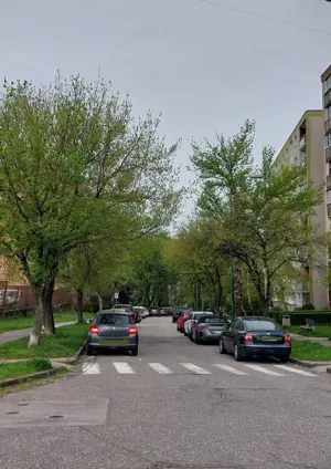 Výrub drevín na Studenohorskej