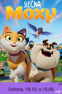 Kino: Slečna Moxy