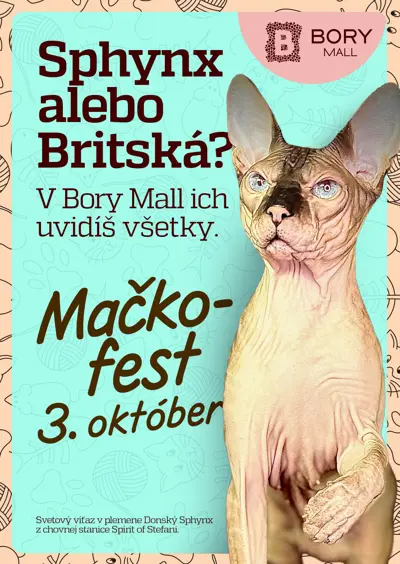 Mačkofest