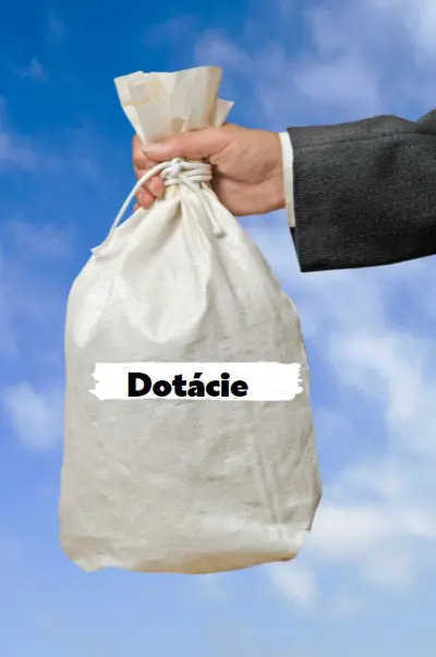 Výzvy na predkladanie žiadostí o poskytnutie dotácie 2026